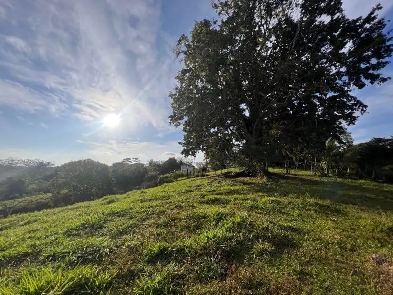 Montezuma Scenic Lots photo 12